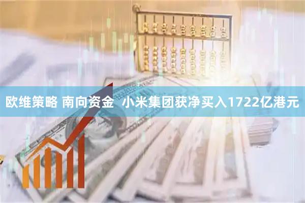欧维策略 南向资金  小米集团获净买入1722亿港元